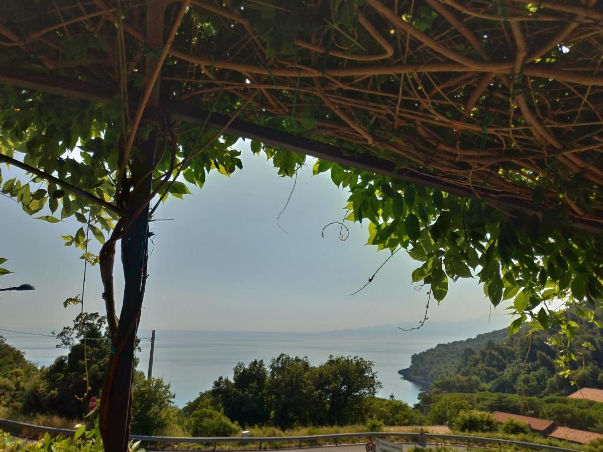 Bed & Breakfast Laino Maratea Exteriér fotografie