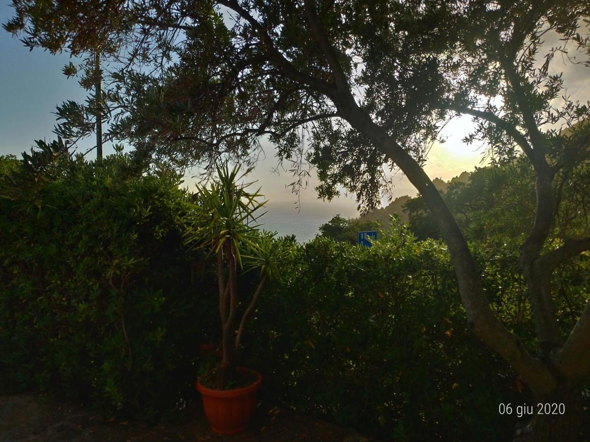 Bed & Breakfast Laino Maratea Exteriér fotografie